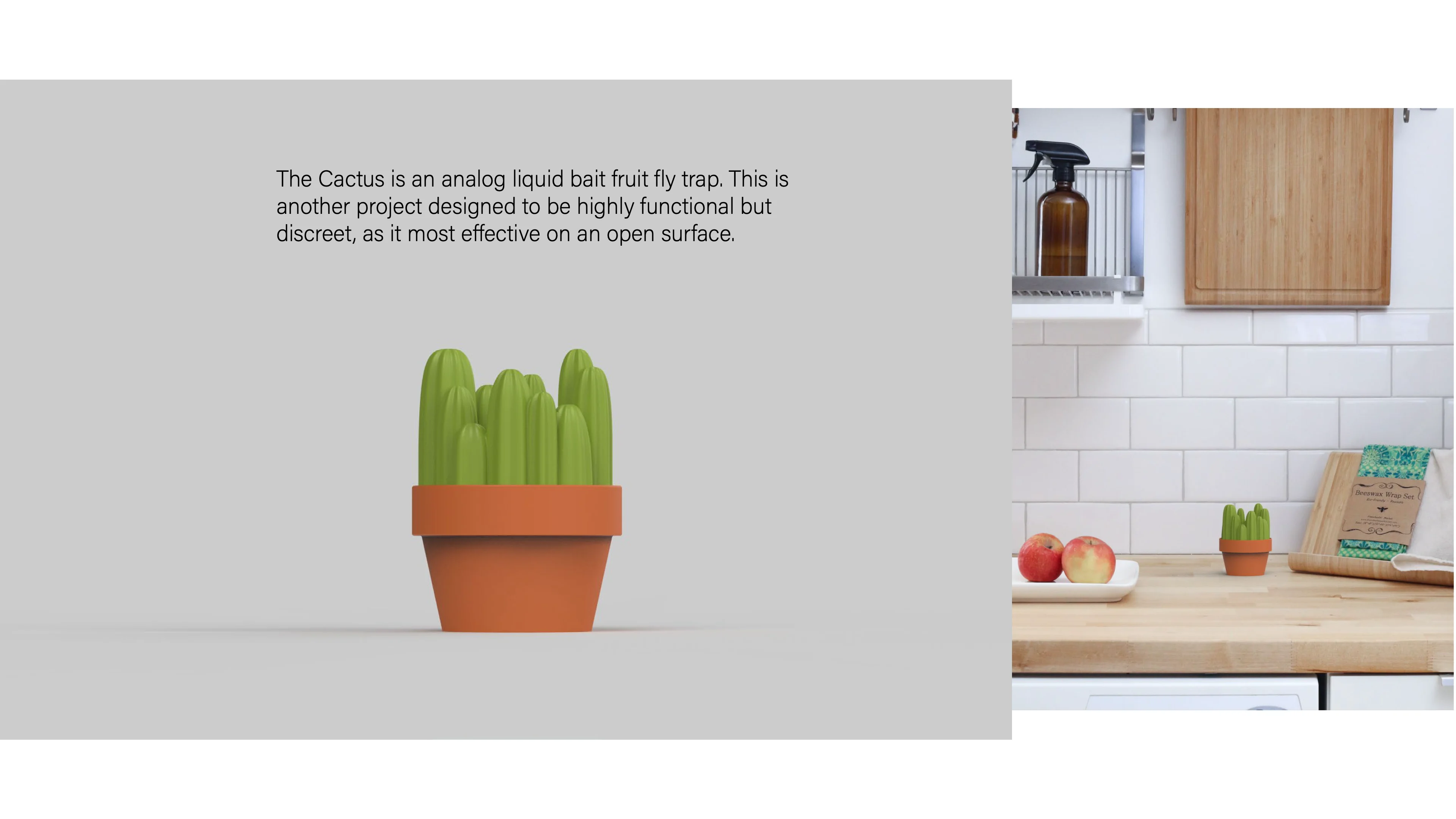 Portfolio page: a render of the Katchy Cactus, a green ribbed cactus in a terracotta pot, with the text “The Cactus is an analog liquid bait fruit fly trap. This is another project designed to be highly functional but discreet, as it most effective on an open surface,” beside a photo of the trap on a kitchen counter next to apples.